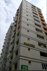 Blk 239 Pasir Ris Street 21 (Pasir Ris), HDB Executive #605508051